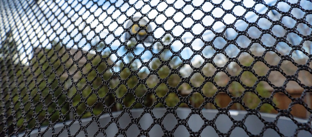Springfree vs. AlleyOOP Trampolines (Honest Analysis)