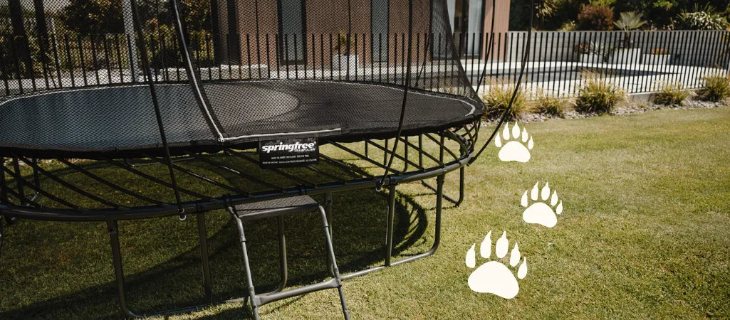 How to Keep Wildlife and Stray Animals Off Your Trampoline
