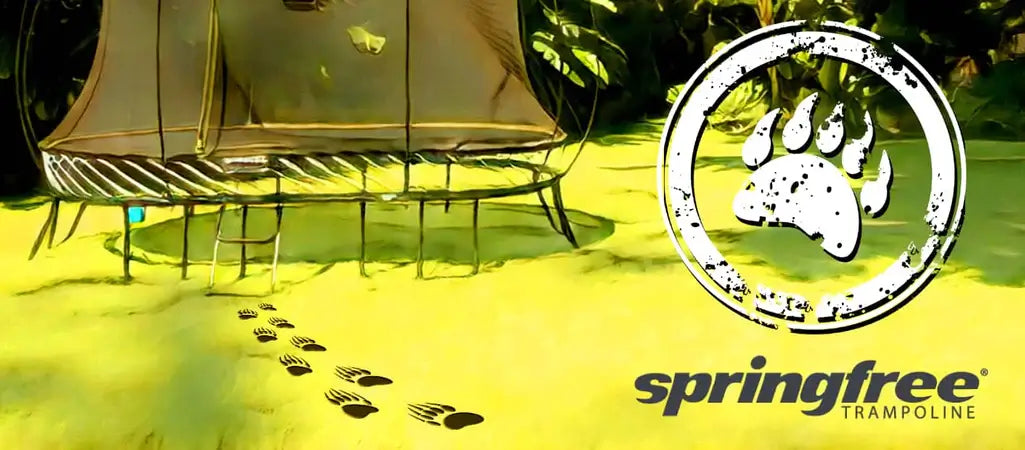 Bears On a Trampoline | Bears Leap, Springfree Trampolines Keep 