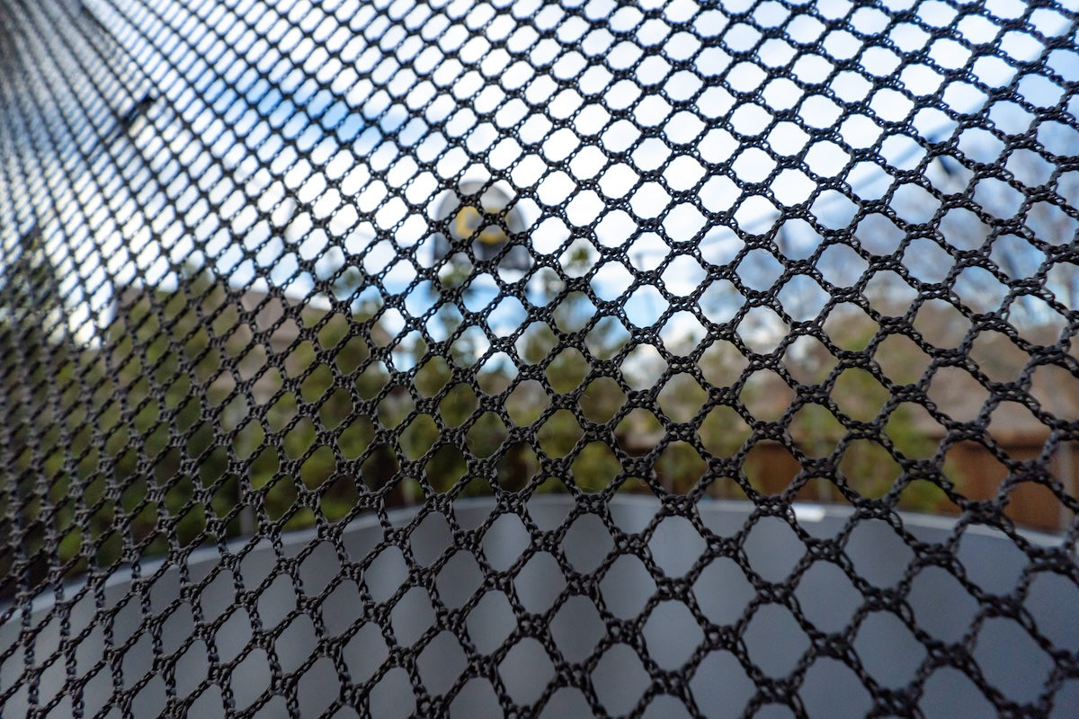 Springfree vs. AlleyOOP Trampolines (Honest Analysis)