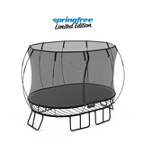 Load image into Gallery viewer, Medium Oval Trampoline
